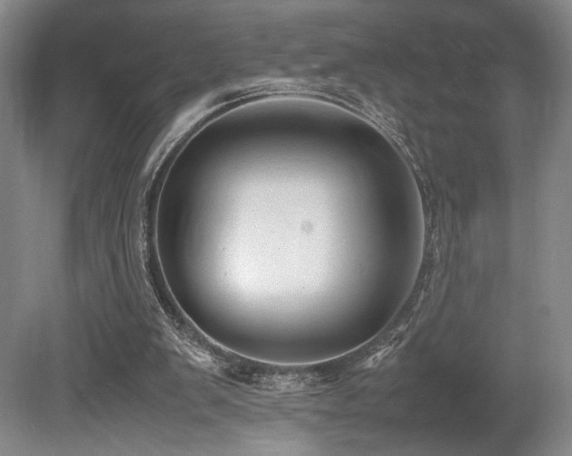 X0000079320103200611171133