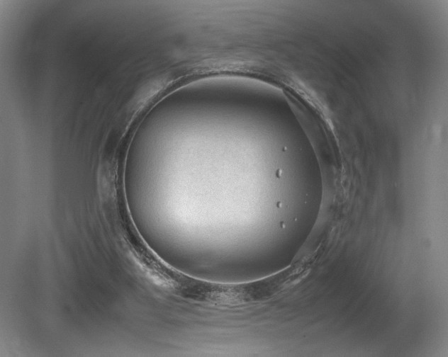 X0000079320107200611171133