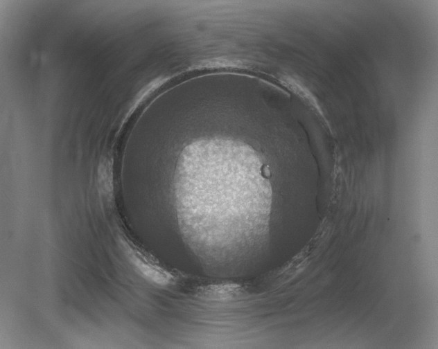 X0000079320108200611171133
