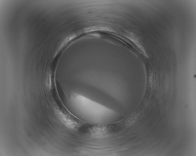 X0000079320110200611171133