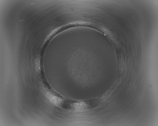 X0000079320112200611171133