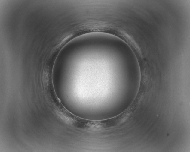 X0000079320113200611171133