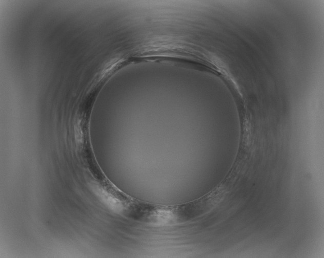 X0000079320114200611171133