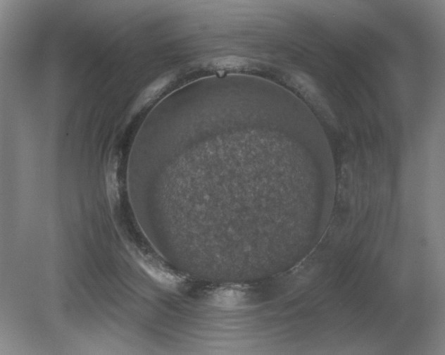 X0000079320116200611171133