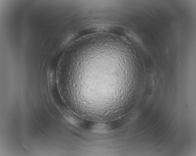 X0000079320123200611171133