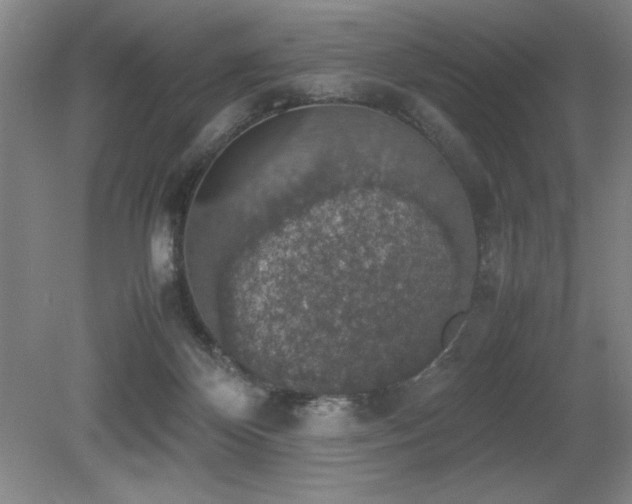 X0000079320124200611171133