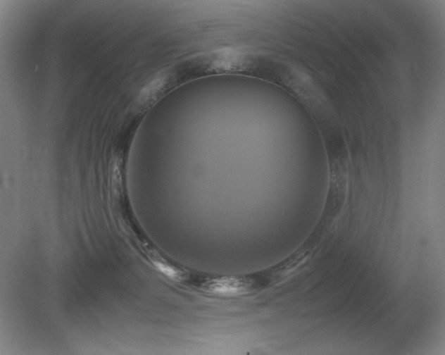X0000079320127200611171133