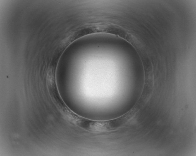 X0000079320129200611171133