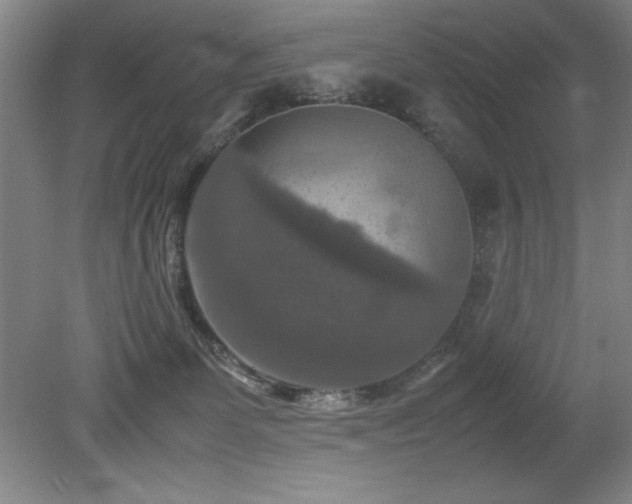 X0000079320131200611171133