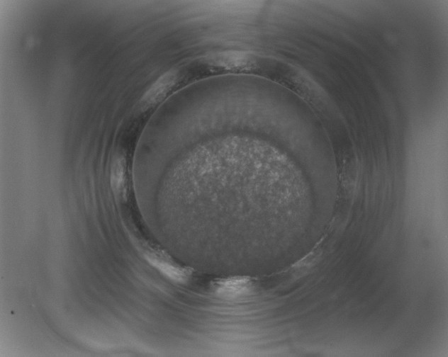 X0000079320132200611171133