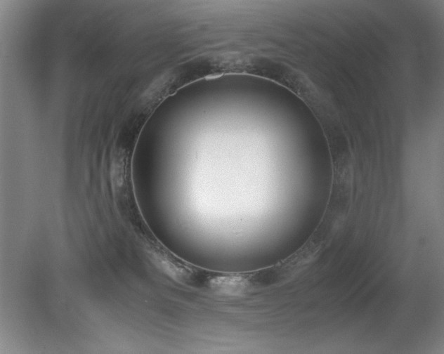 X0000079320133200611171133
