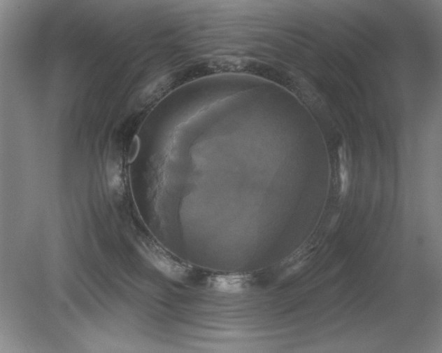 X0000079320134200611171133