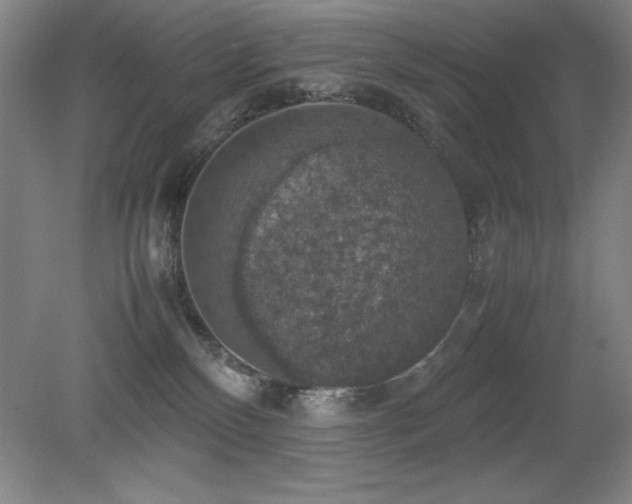 X0000079320136200611171133