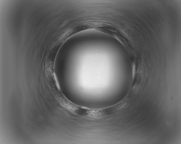 X0000079320141200611171133
