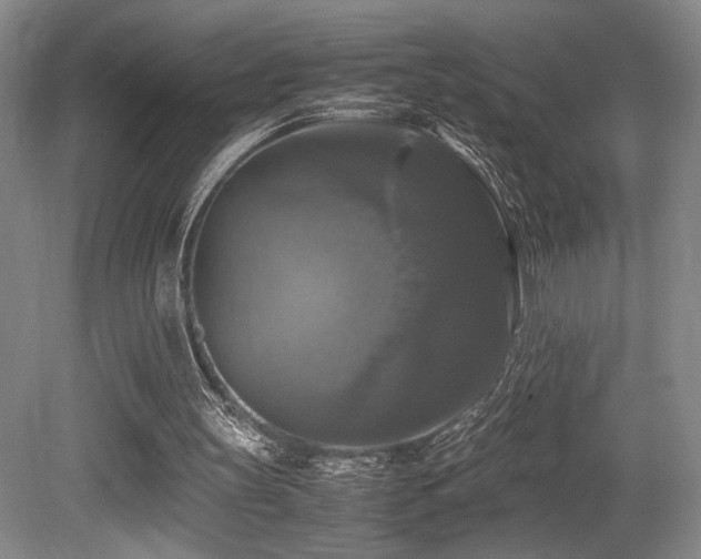 X0000079320147200611171132