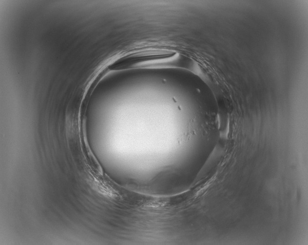 X0000079320148200611171132