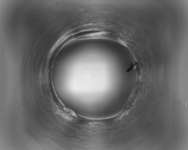 X0000079320150200611171132