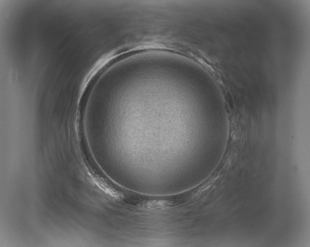 X0000079320152200611171132