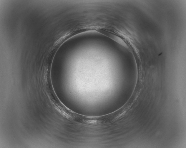 X0000079320153200611171132