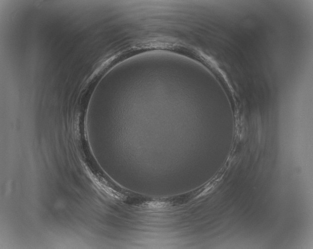 X0000079320154200611171132