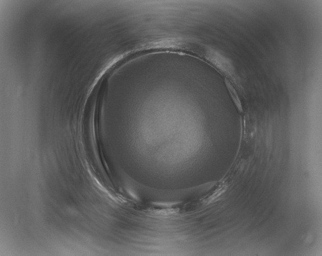 X0000079320156200611171132