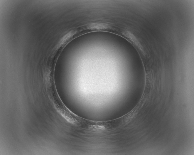X0000079320159200611171132
