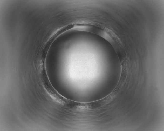 X0000079320160200611171132
