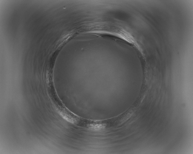 X0000079320161200611171132