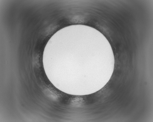 X0000079320162200611171132