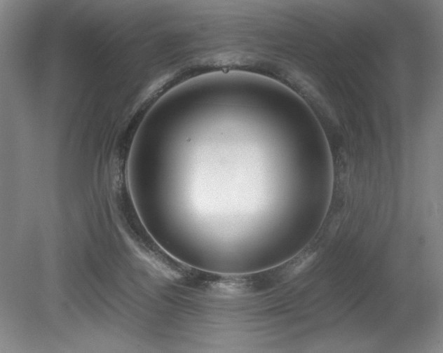 X0000079320164200611171132