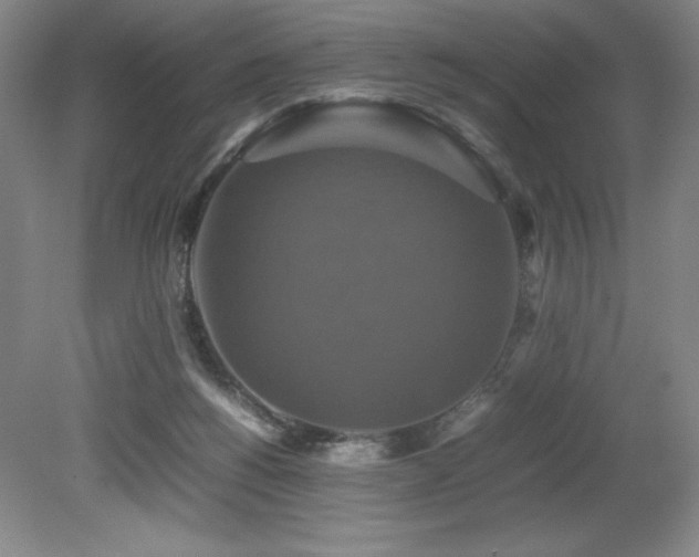 X0000079320168200611171132