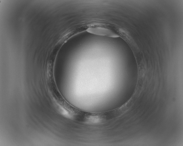 X0000079320171200611171132