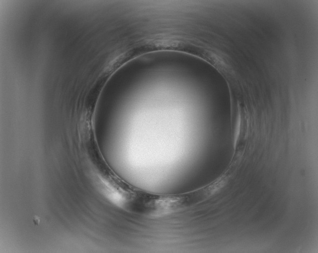 X0000079320172200611171132