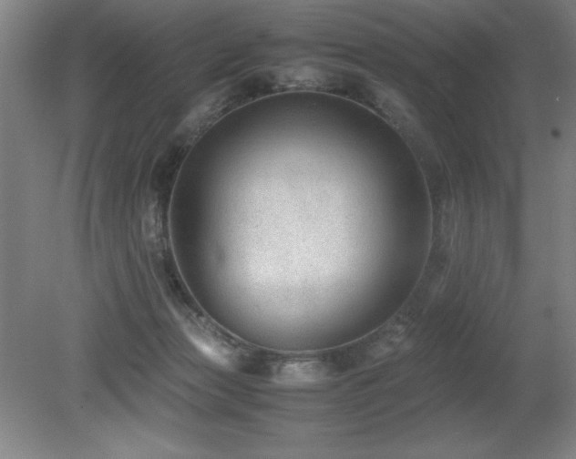 X0000079320173200611171132