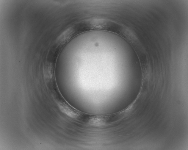 X0000079320174200611171132