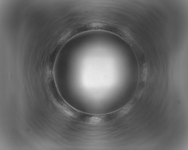 X0000079320176200611171132