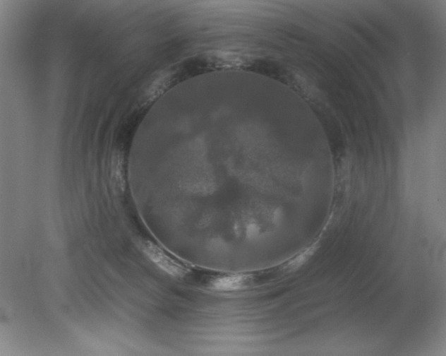 X0000079320178200611171132