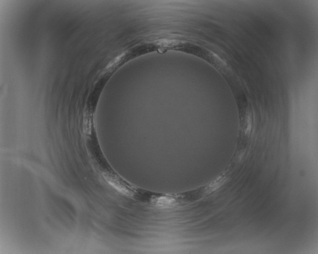 X0000079320180200611171132