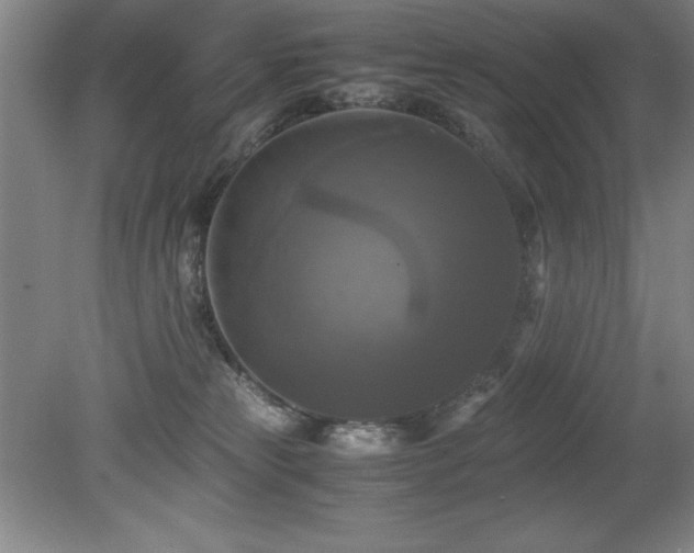 X0000079320181200611171132