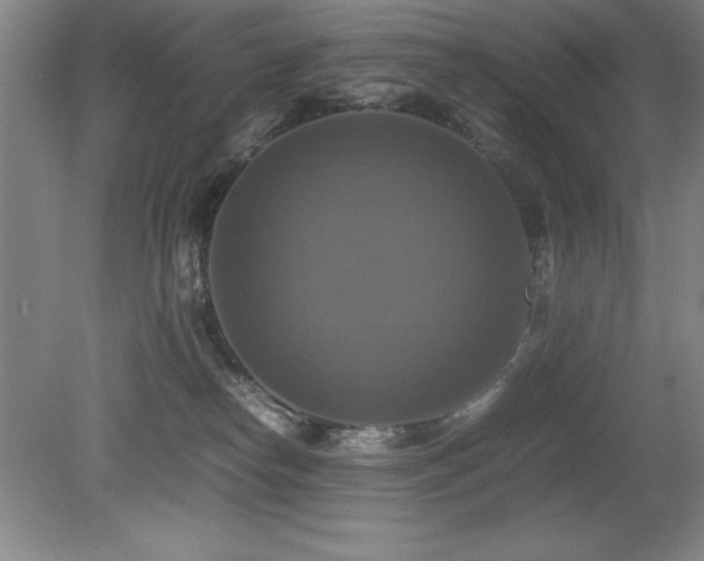 X0000079320182200611171132