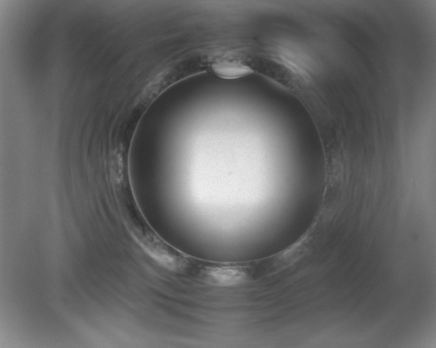 X0000079320183200611171132