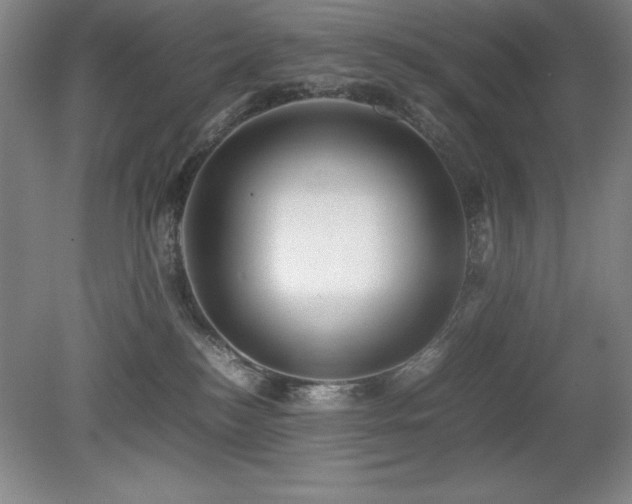 X0000079320184200611171132