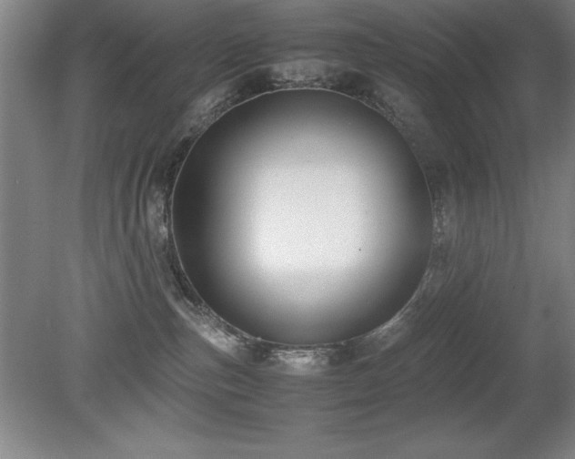 X0000079320187200611171132