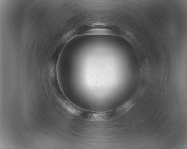 X0000079320188200611171132