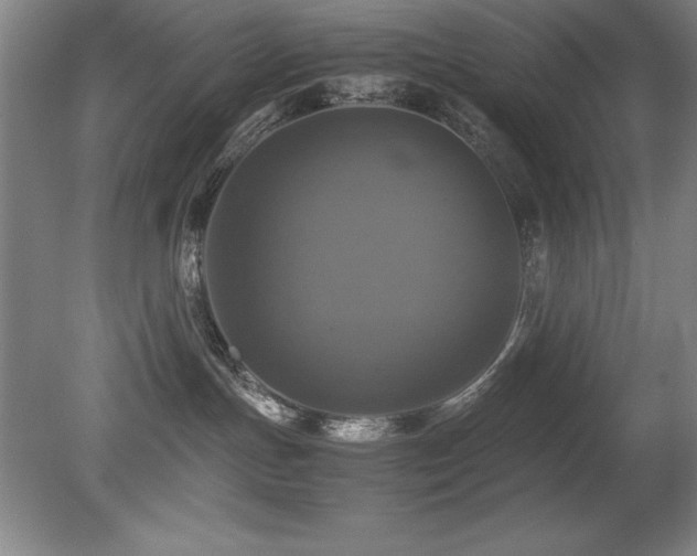 X0000079320191200611171133