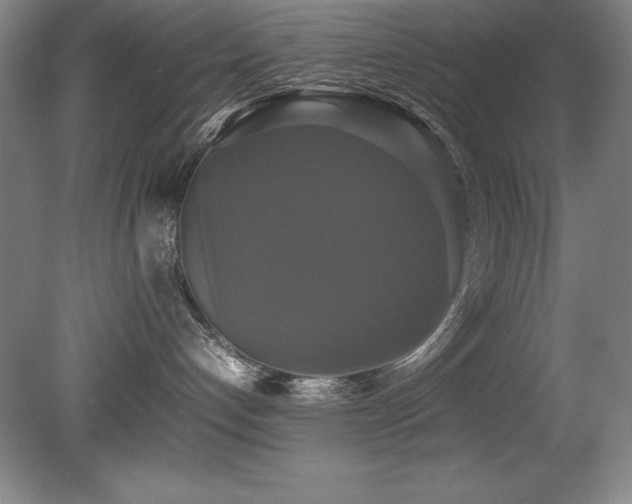 X0000079320192200611171133