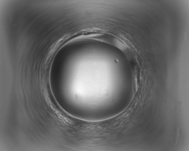 X0000079320193200611171132