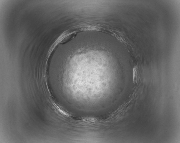 X0000079320195200611171132