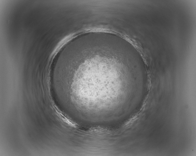 X0000079320199200611171132