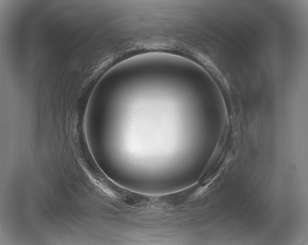 X0000079320201200611171132
